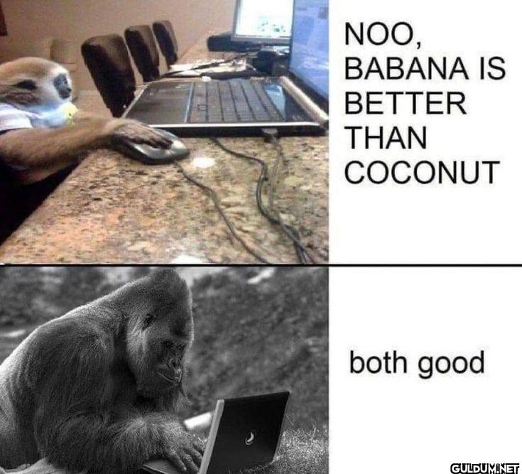 NOO, BABANA IS BETTER THAN...