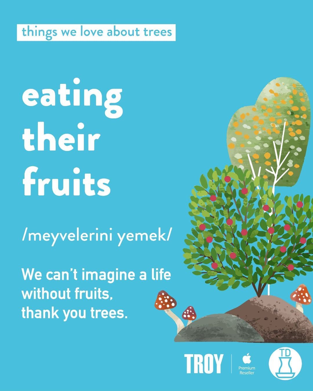 Ağaçların sevmemizin...