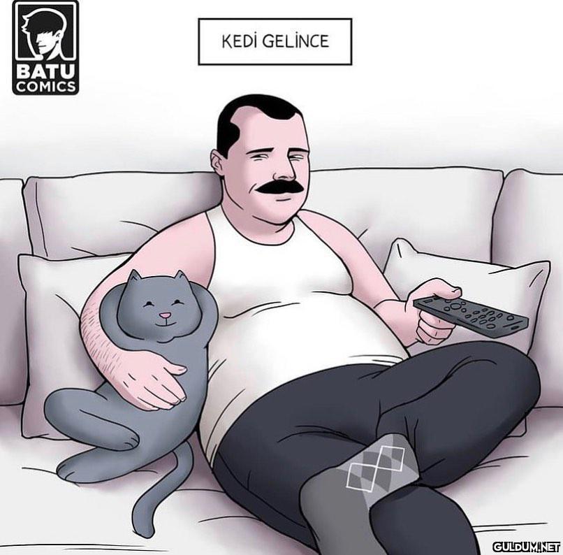 BABA, KEDİ SAHİPLENELİM....