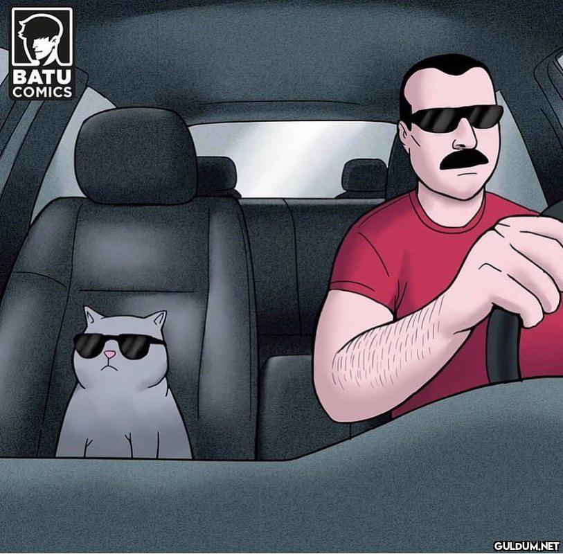 BABA, KEDİ SAHİPLENELİM....