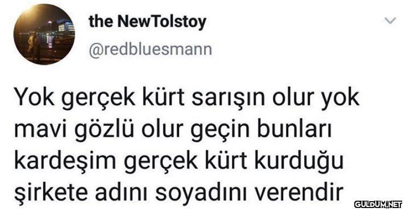 the NewTolstoy...