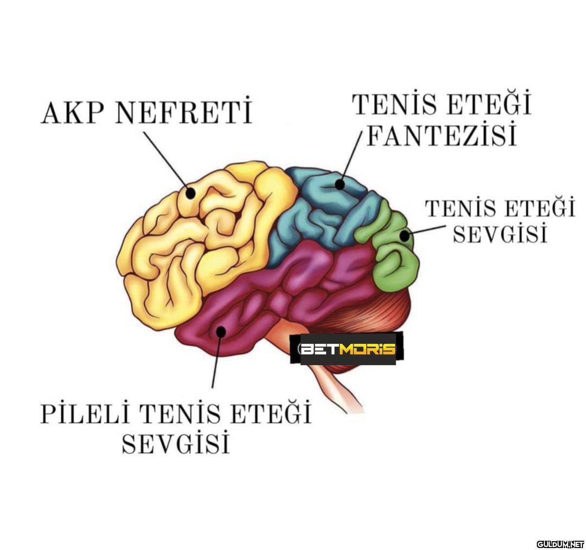 TENİS ETEĞİ FANTEZİSİ AKP...