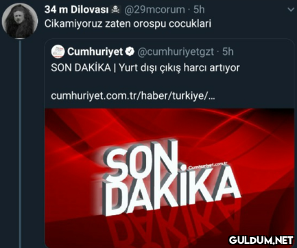 34 m Dilovası & @29mcorum...