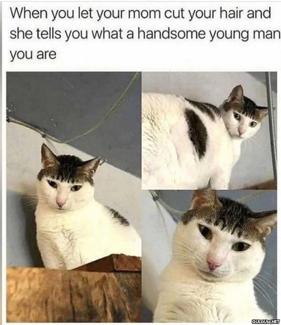 When you let your mom cut...