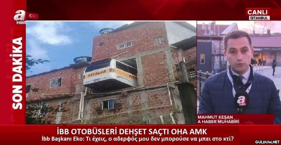 Ulan eko...    a CANLI...