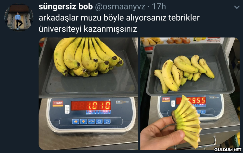 süngersiz bob @osmaanyvz ·...