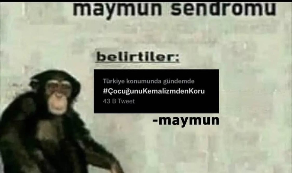 maymun sendromu...
