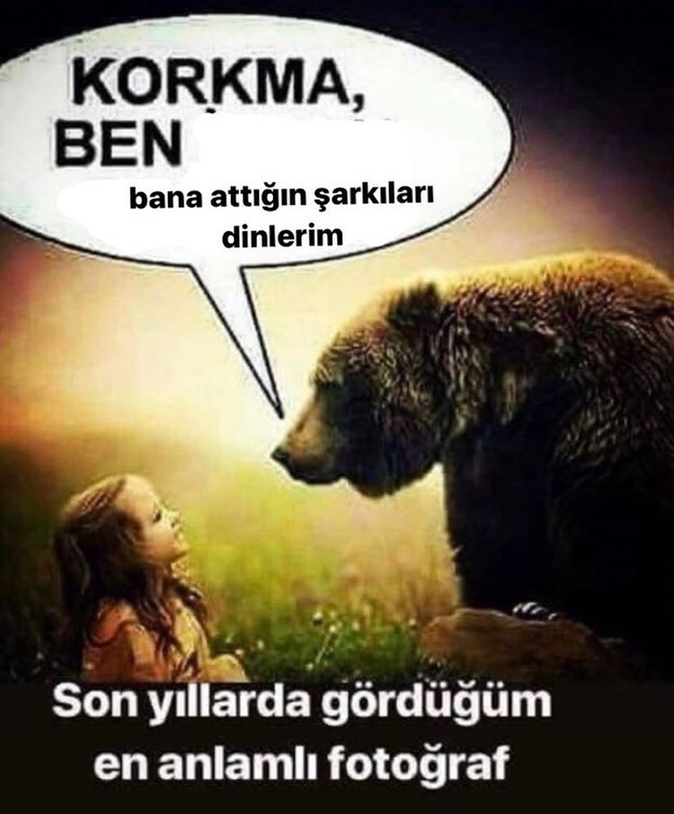 Kaynak