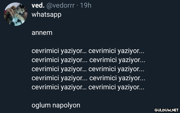 Kaynak