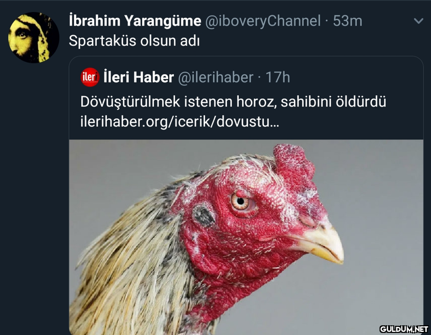 Kaynak