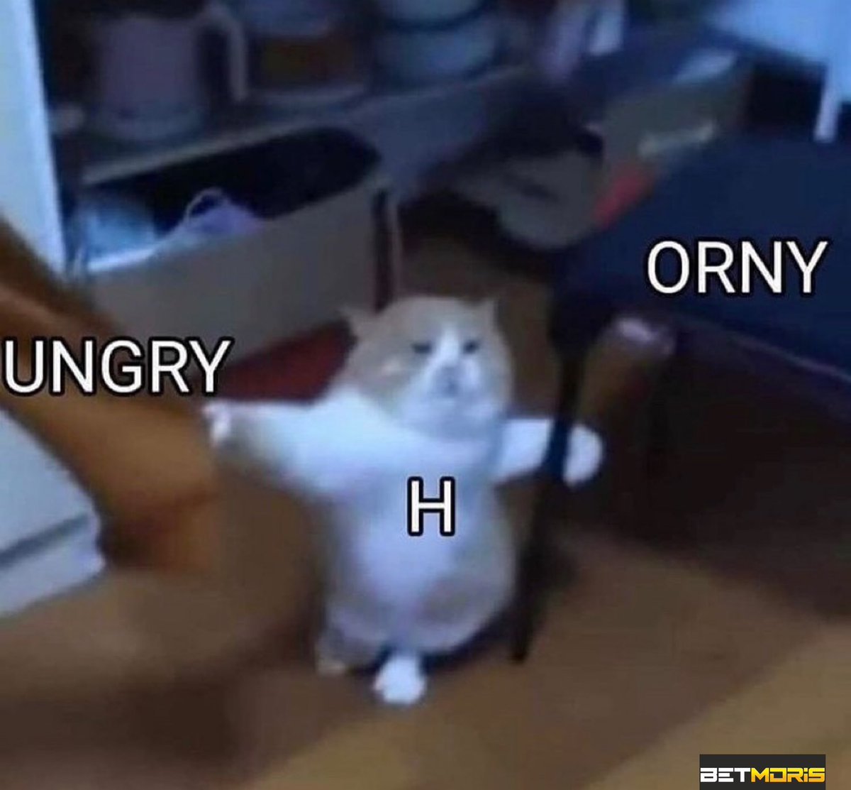 Kaynak