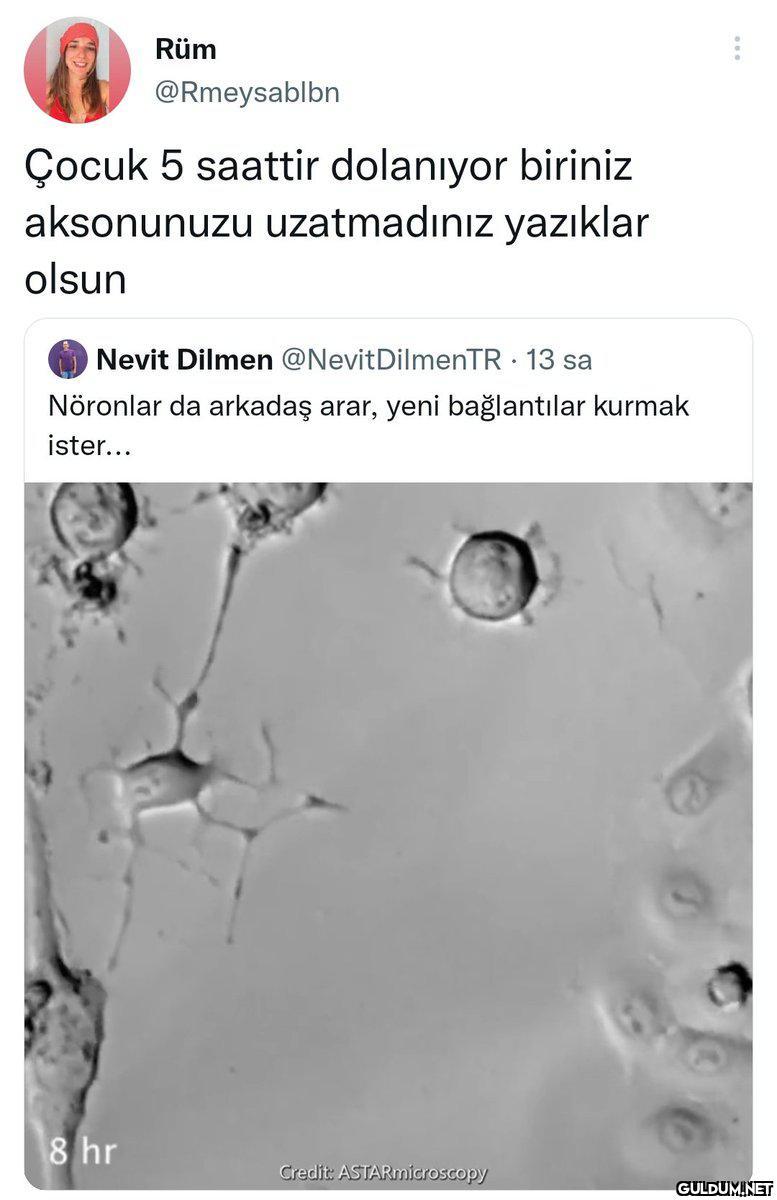 Rüm @Rmeysablbn Çocuk 5...