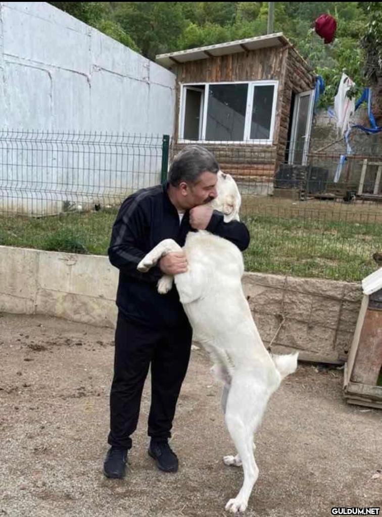 -aşı kartın var mı    Kaynak