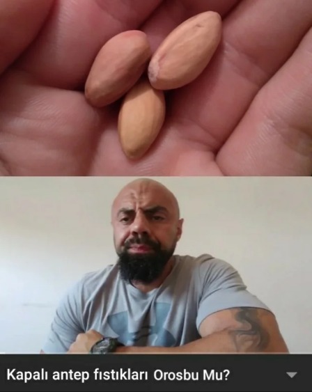 Kapalı antep fıstıkları...