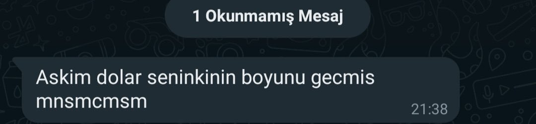 1 Okunmamış Mesaj Askim...