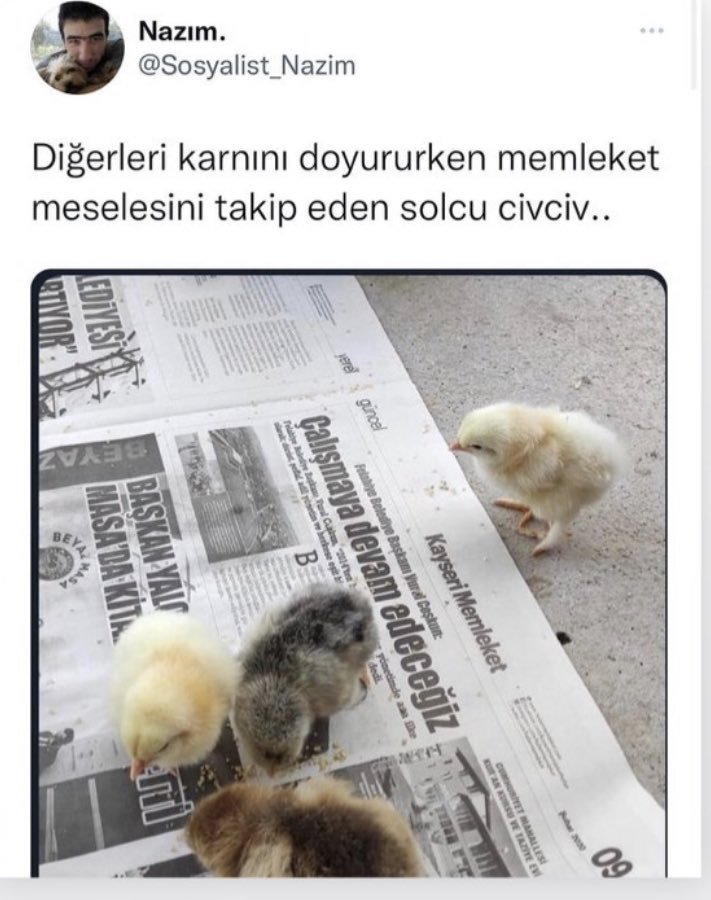 Diğerleri karnını...