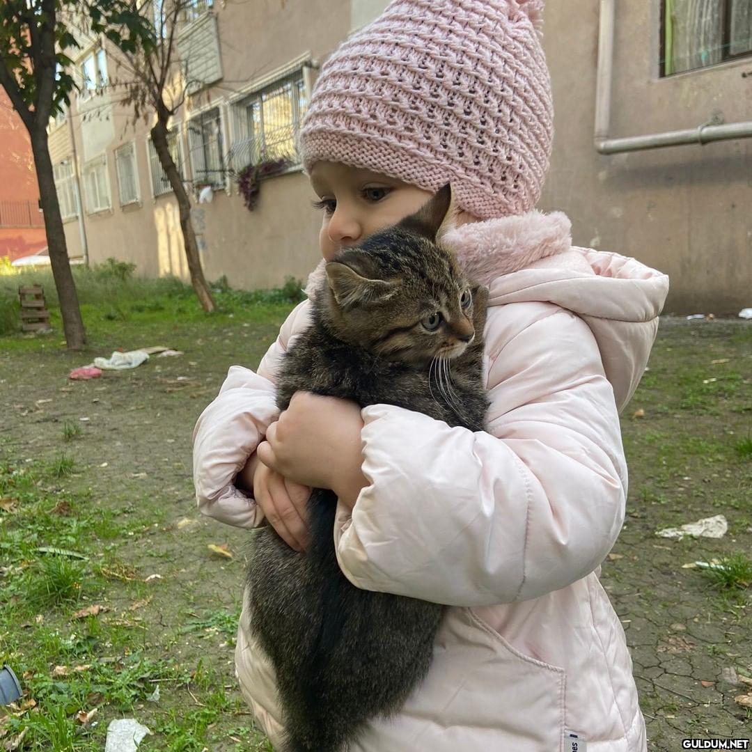 Günaydın 😊 (Kaydırmalı) ...