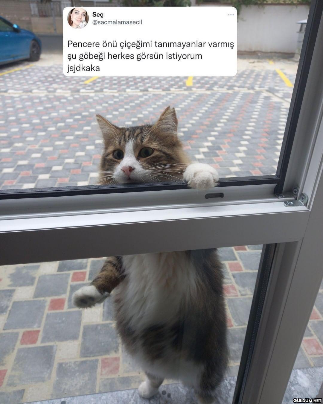 Seç @sacmalamasecil...