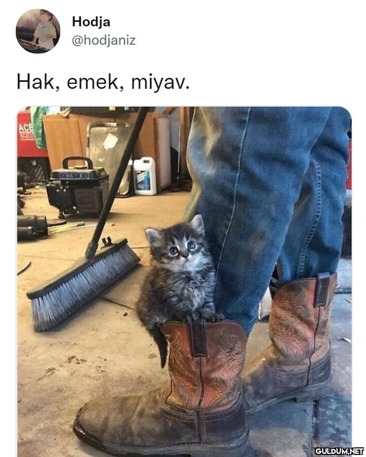 Hodja @hodjaniz Hak, emek,...