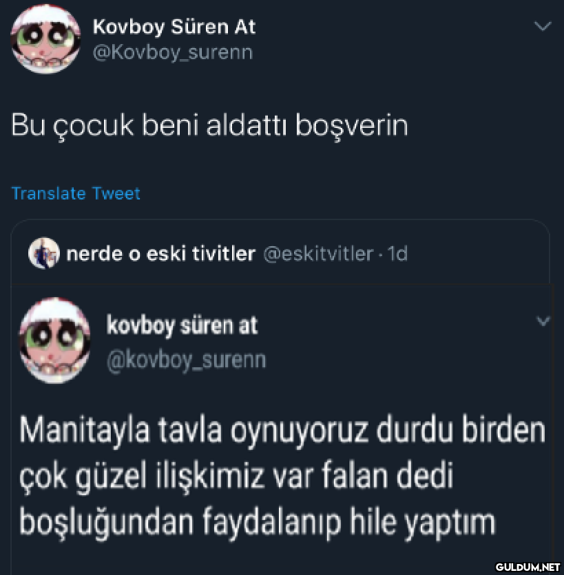 Kovboy Süren At...