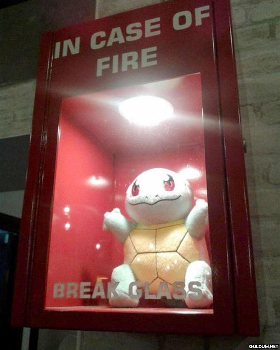 IN CASE OF FIRE BREAK...