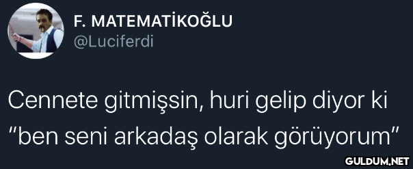 F. MATEMATİKOĞLU...