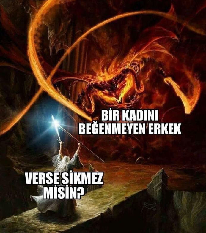 BİR KADINI BEĞENMEYEN...