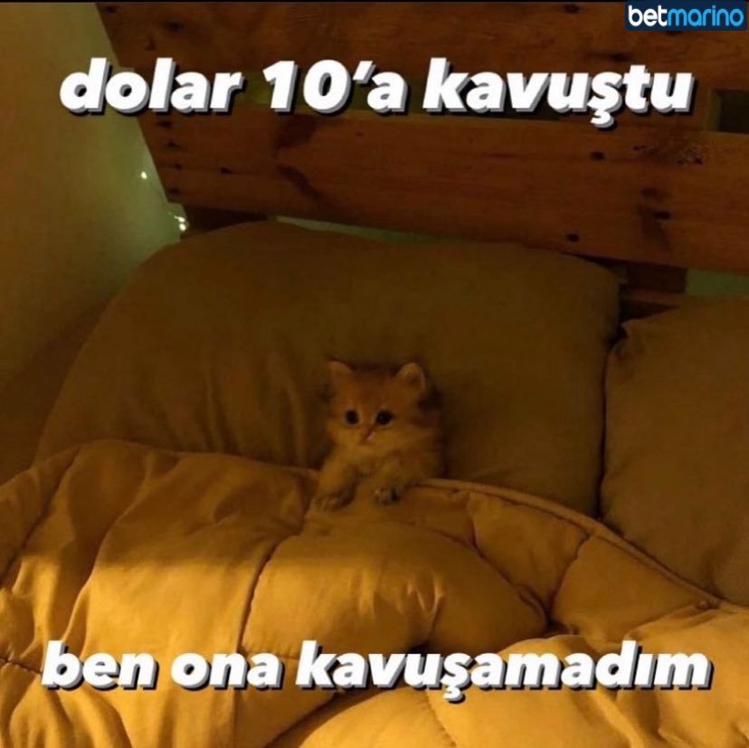 İyi geceler      dolar...