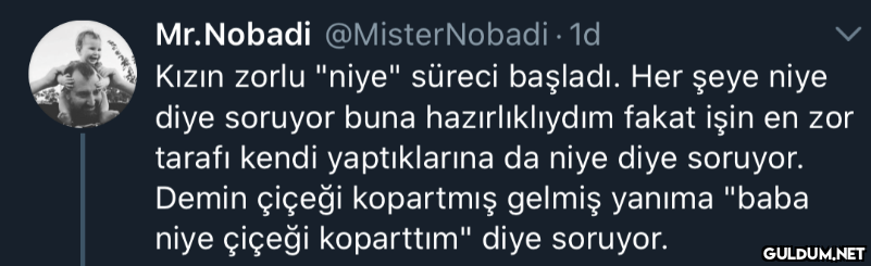 Mr.Nobadi @MisterNobadi ·...