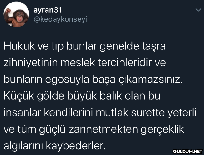 ayran31 @kedaykonseyi...
