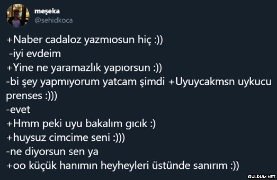 meşeka @sehidkoca +Naber...