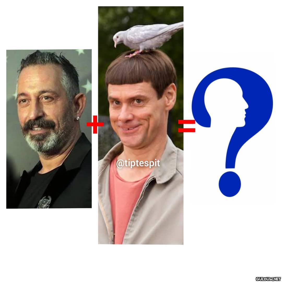 Cem Yılmaz + Lloyd...