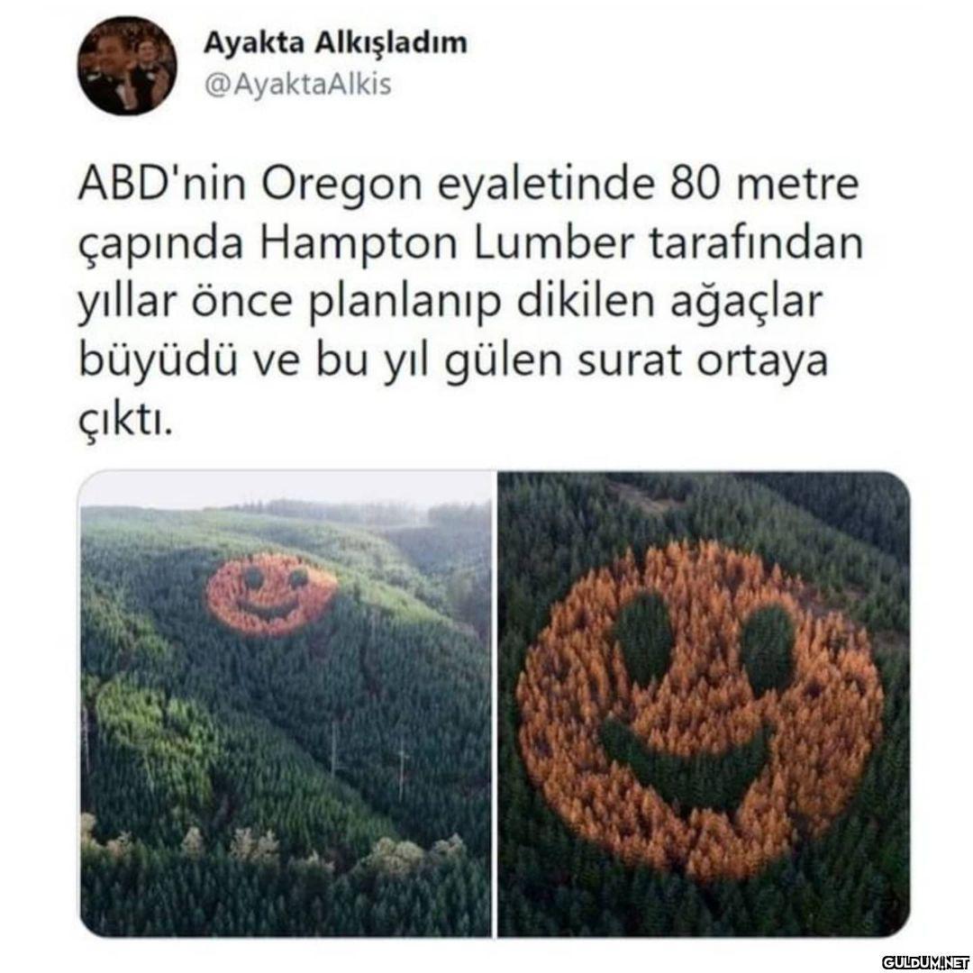 (Kaydırmalı)  Ayakta...