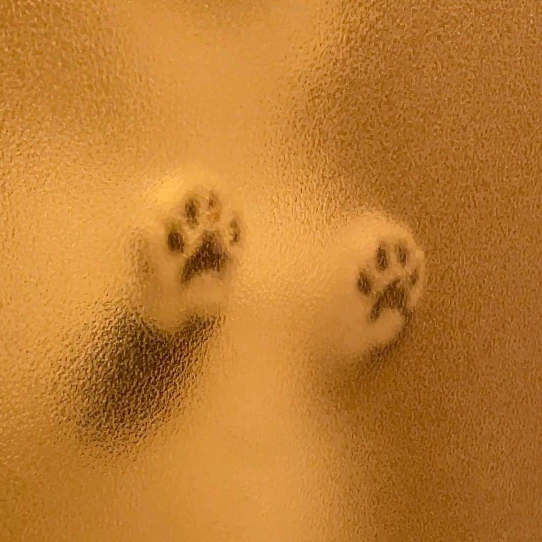 🥺🐾 📸 @jirosan77 - #paws...