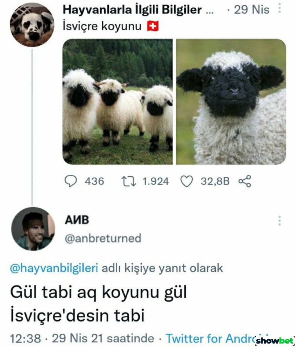 Kaynak