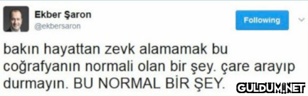 Ekber Şaron @ekbersaron...