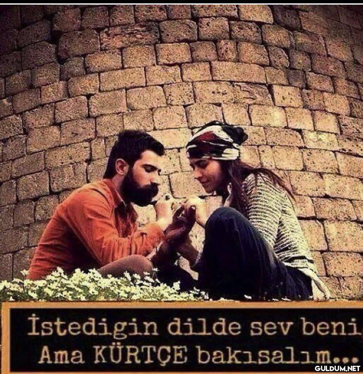 Svdhajaj    İstedigin...
