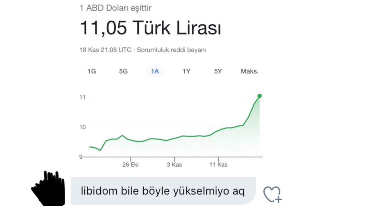 1 ABD Doları eşittir 11,05...