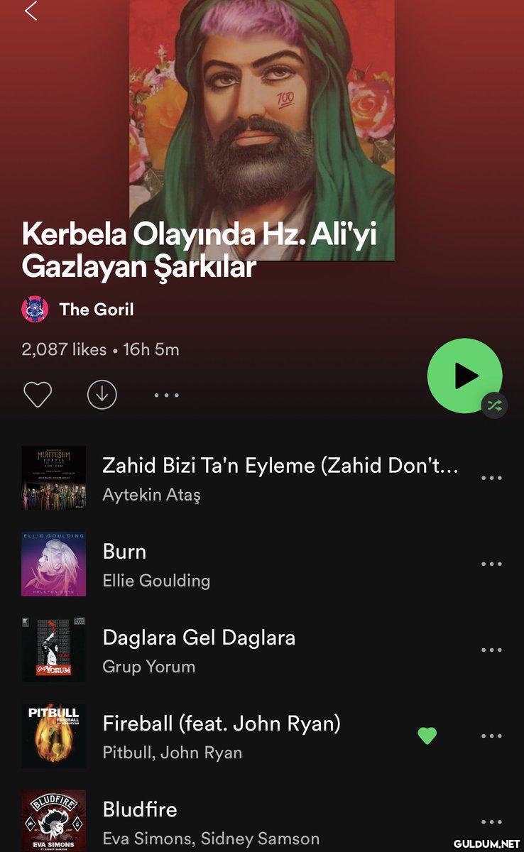 #hzali...