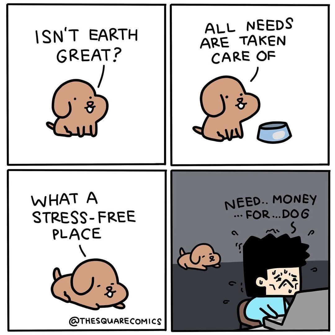 Good boi deserves the...