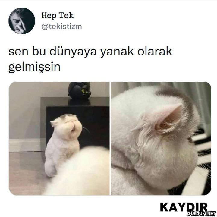 Нер Тek @tekistizm sen bu...