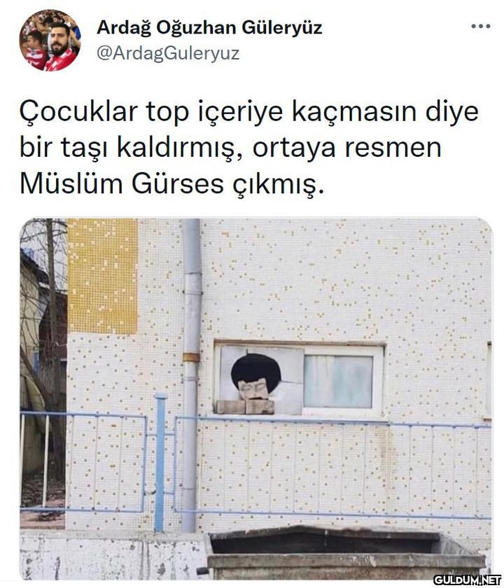 Ardağ Oğuzhan Güleryüz...