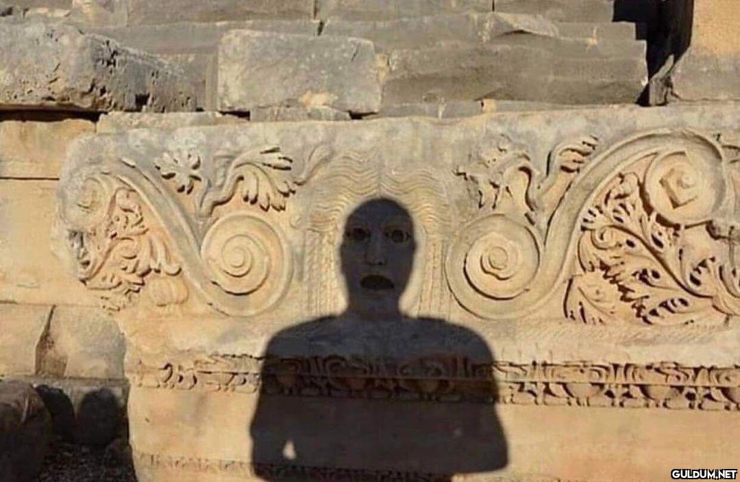 anlamsız fotoğraflar 1750 ...