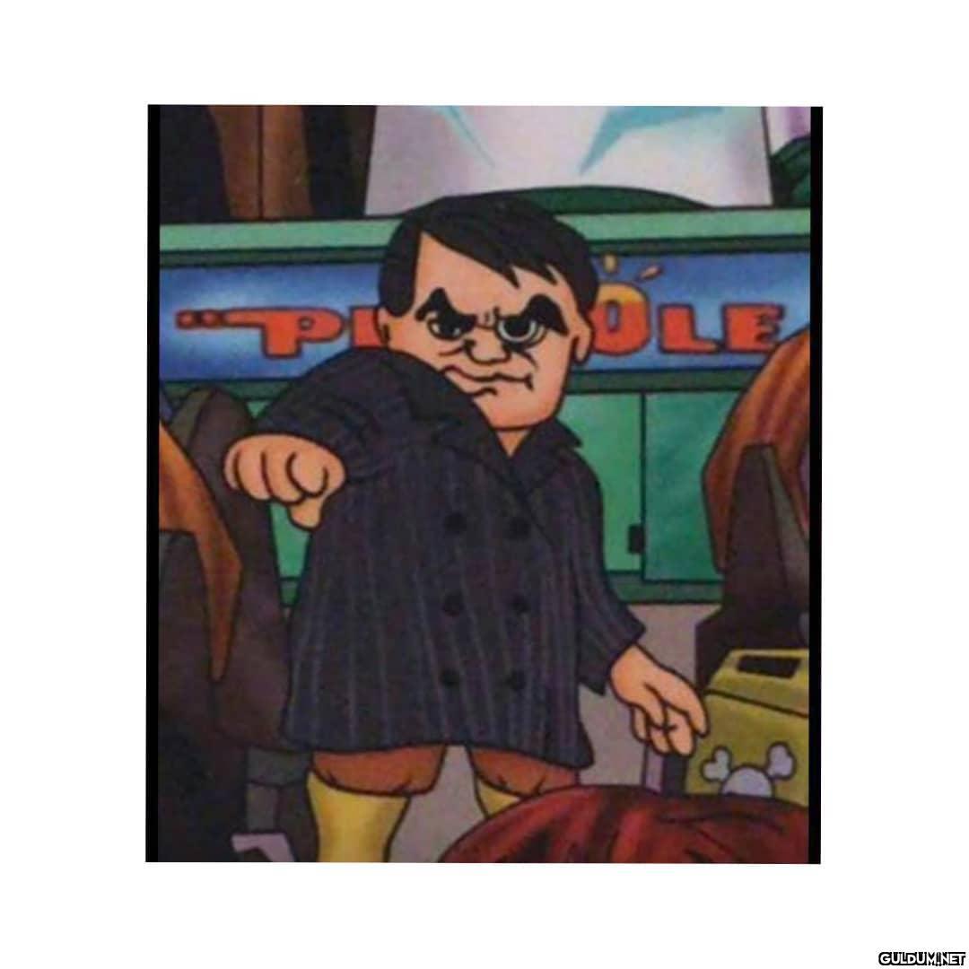 Şenol Güneş ve diğerleri  ...
