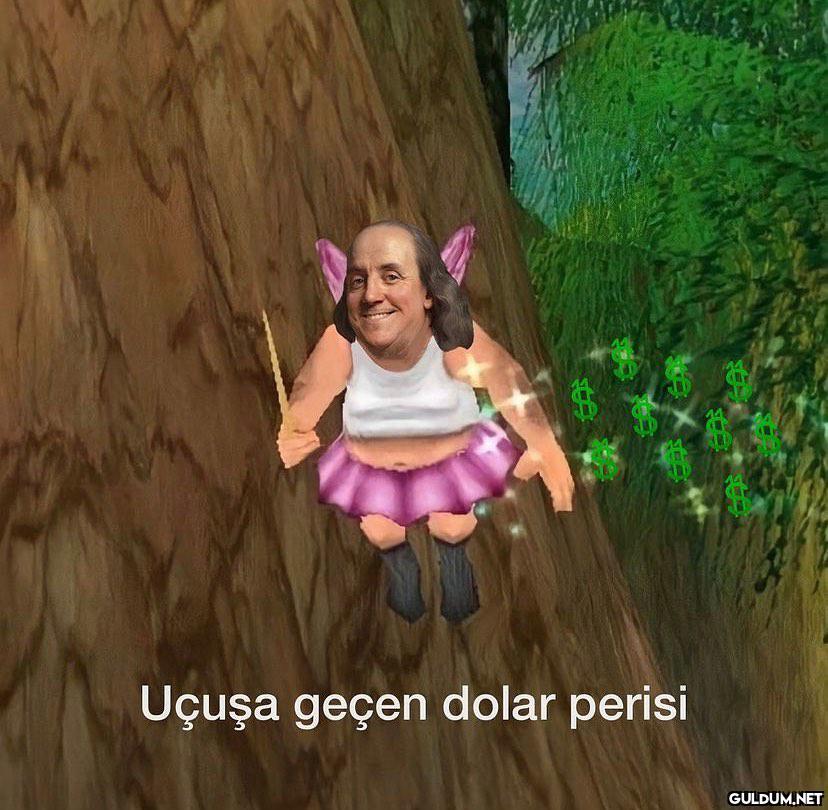 Uçuşa geçen dolar perisi $...