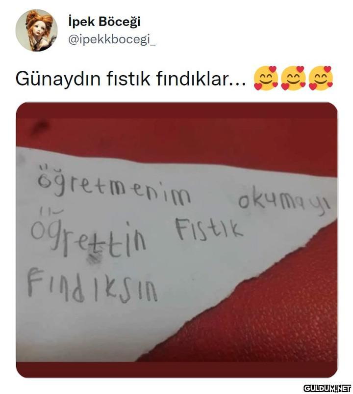 İpek Böceği @ipekkbocegi_...