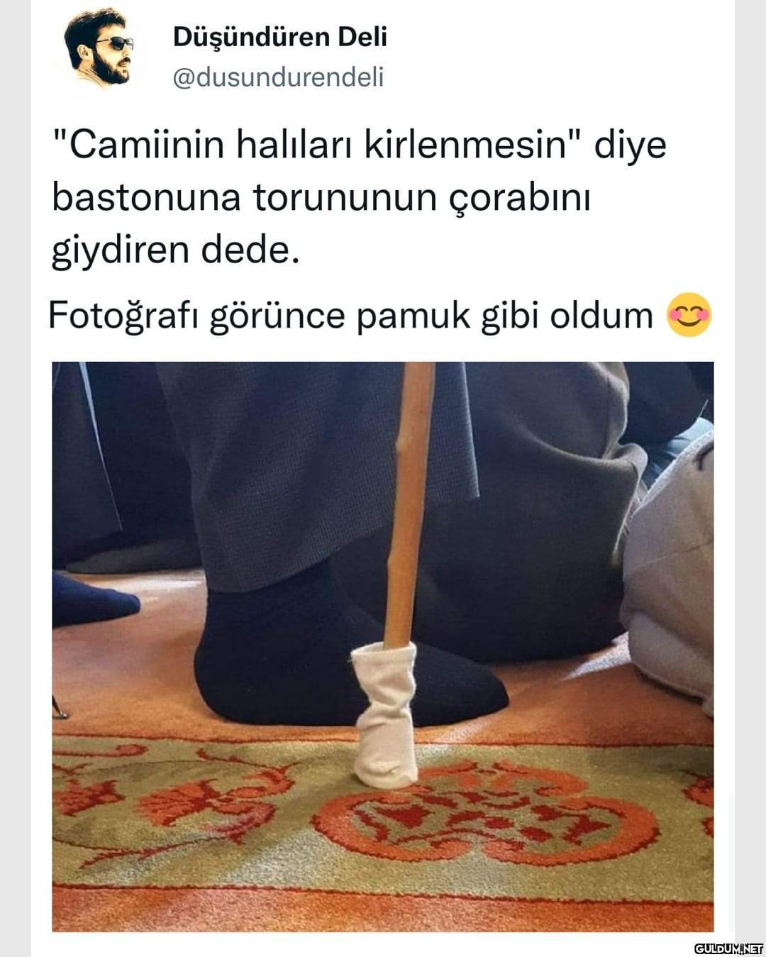 Düşündüren Deli...