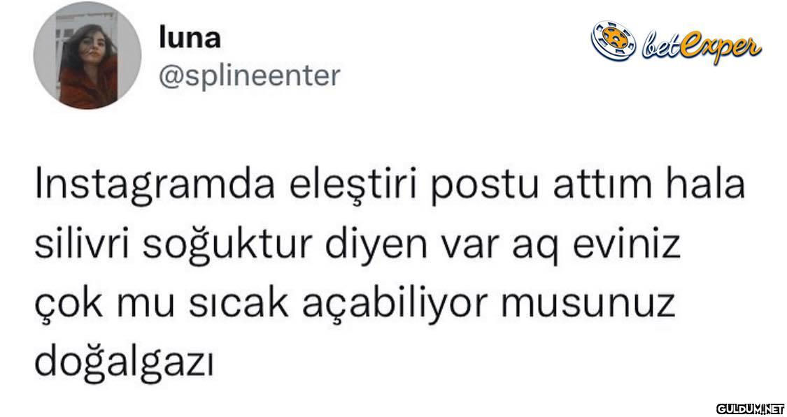 luna betlrper @splineenter...