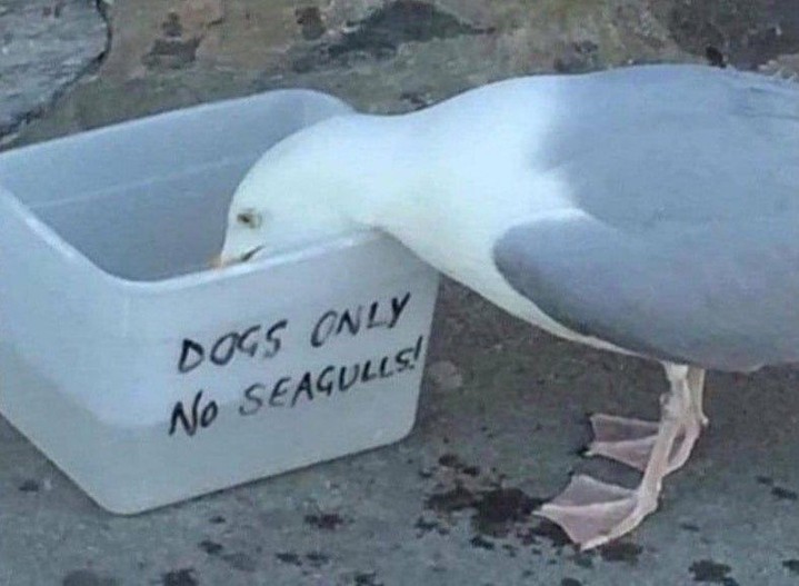 The sign can't stop me...