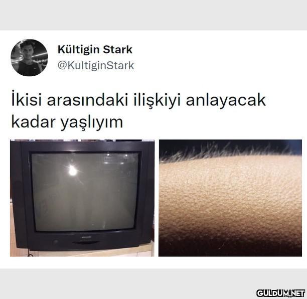 Anlayanlar?  Kültigin...